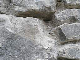 acastle 172830.jpg
